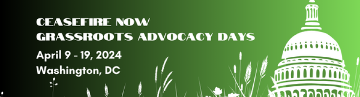 Grassroots Advocacy Days Spring 2024 - Peace Action
